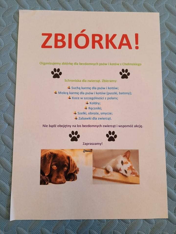 Zbiórka dla bezdomnych psów i kotów z Chełmskiego Schroniska dla zwierząt.