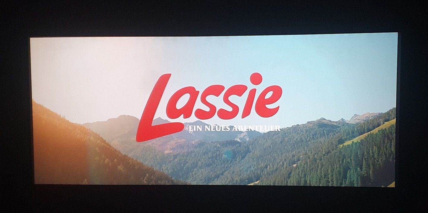 "Lassie. Nowe przygody" z udziałem czworonogów oraz Farma Dyń w Jednaczewie- Wycieczka szkolna :)